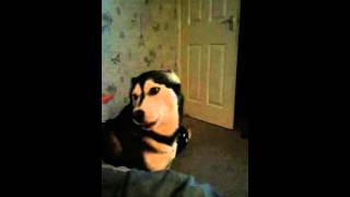 Mya arguing about bedtime