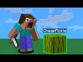 We Disguised As BLOCKS In Minecraft