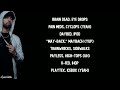 Eminem Ft Royce Da 5 9 Not Alike Lyrics
