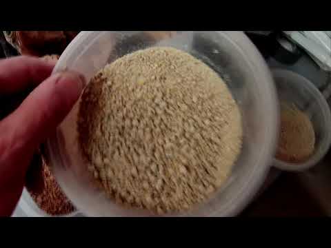 A&A's Guide to Heritage Turkey Feed