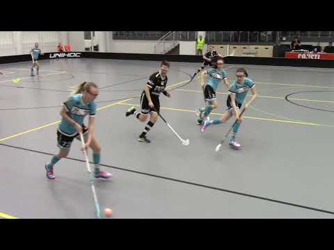 SB-PRO maalikooste: SB-PRO - PELICANS (23.2.2019)