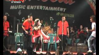 Download lagu camelia bangsri prawan kalimantan mp3 Download lagu camelia bangsri prawan kalimantan mp3