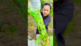 Download lagu You Won't Believe How EASY It Is to Get the RIGHT TONE in Your Videos #funny mp3 Download lagu You Won't Believe How EASY It Is to Get the RIGHT TONE in Your Videos #funny mp3