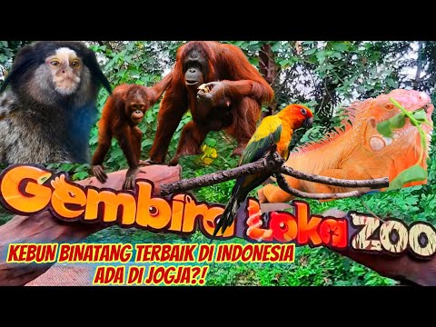 GEMBIRA LOKA ZOO YOGYAKARTA‼️ KEBUN BINATANG TERBAIK DI INDONESIA 2023 | WISATA KELUARGA DI JOGJA‼️