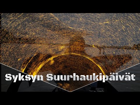 Syksyn Suurhaukipäivät - Kaksi Päivää Uskomatonta Haukitykitystä - Kaikukuvaa Suurhauista