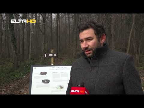 BL HRONIKA 20 12 22  - PUTOKAZI NA TREŠNJIKU I BANJ BRDU