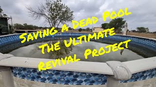 Saving a Dead Pool - The Ultimate Revival Project