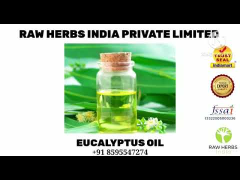 Eucalyptus oil - nilgiri oil, packaging size: 1 kg