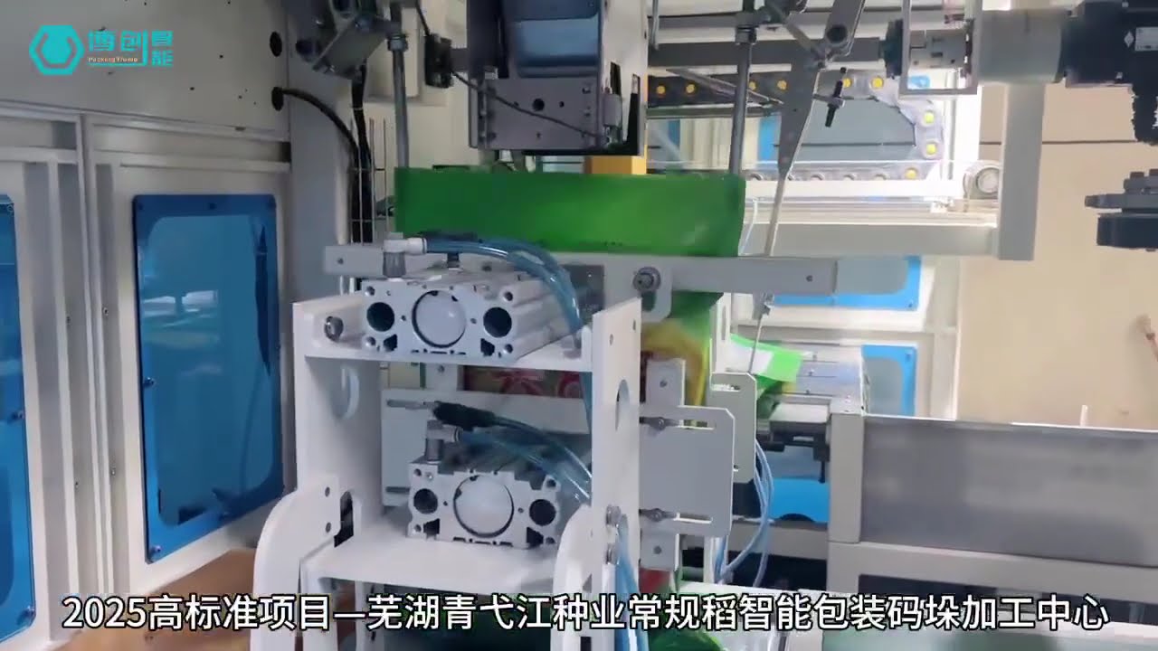 Ligne de conditionnement entièrement automatisée pour semences de maïs ou de riz avec robot de palettisation