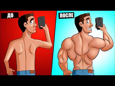 5 Лучших Упражнений с Гантелями на Мышцы Спины