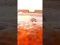 Vaazha En Vazhvai Vazhavae Song Whatsapp Status In 4k Natural Whatsapp Status In HD