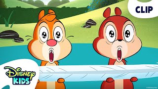 Chip and Dale Steal Donald's Feathers?! 🪶🤭 | Chip 'n' Dale: Park Life | @disneykids