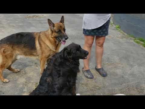 Wandeling de nuchten.