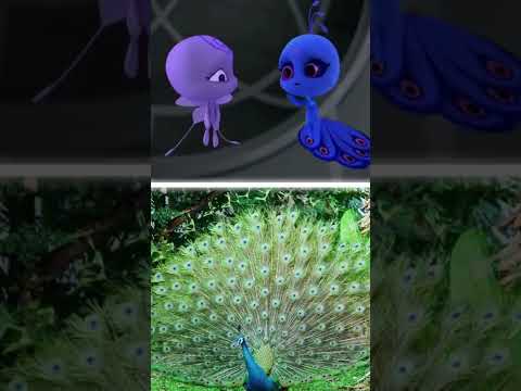 Kwamis in real life Duusu - Peacock | Miraculous Ladybug #Shorts