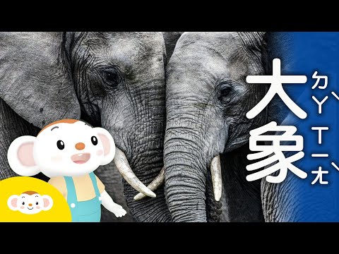 大象意義