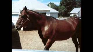 You Light Up My Life