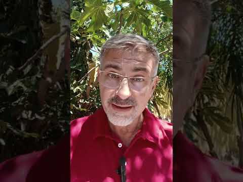 Evangelio del Nuestro Señor Jesucristo Con el Padre Fabian Esteban Oliva. Segunda Parte 22/02/26