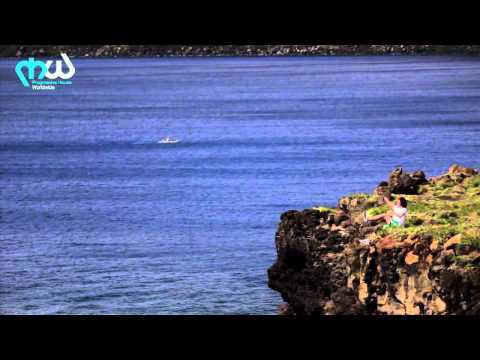 Artemil - Sky (Mizar B Remix) [Video]