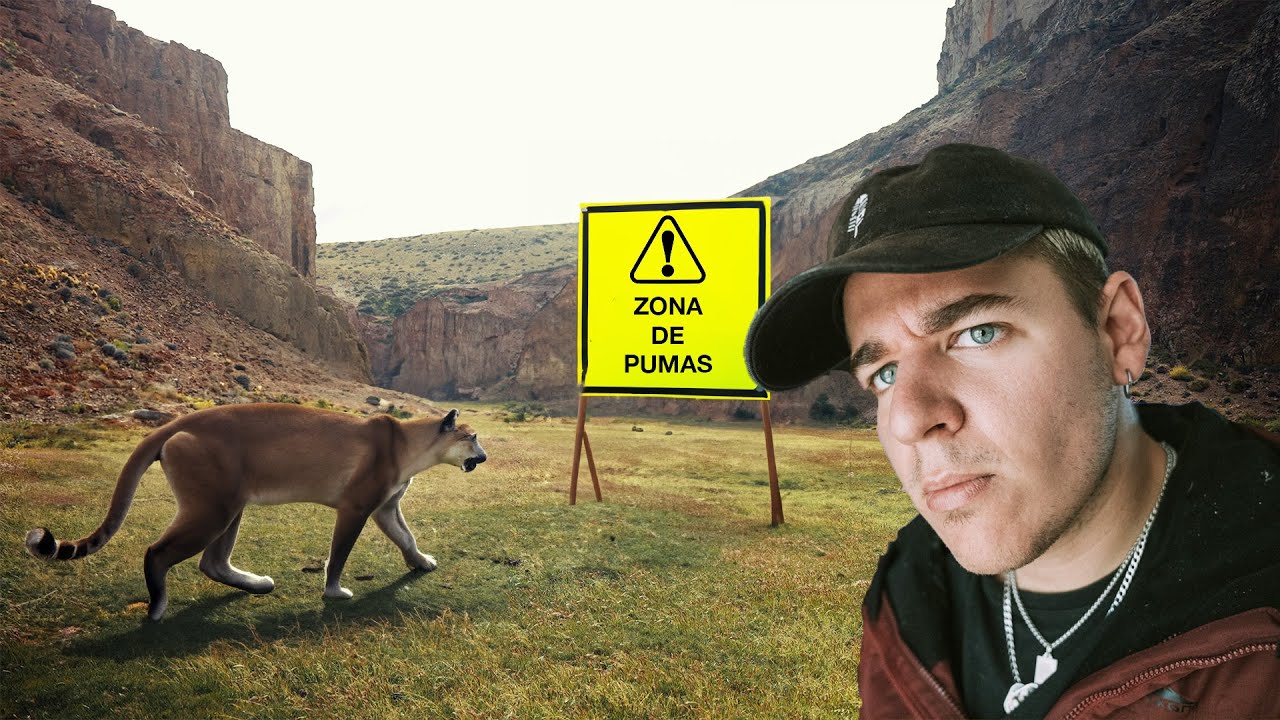 Video — Safari Patagonia Argentina