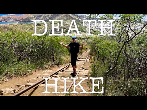 SURF! TRAIN! AND KOKO HEAD HIKE WITH MY BROTHER! II...