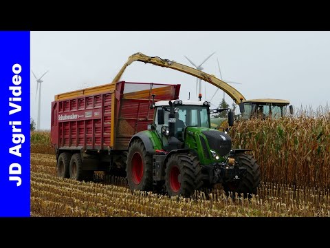 Mais Silage 2021 | Krone BigX630 + Fendt 828 826 824 | Everink Gölenkamp (DE) | Maishäckseln