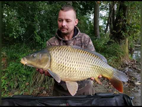 Jan Arski carp story 2018