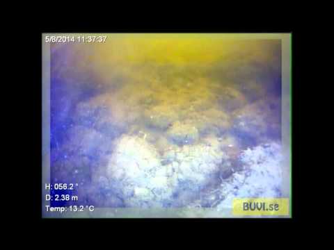 BUVI AB Sjökabel Hjälmaren 140508