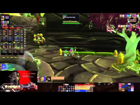 Black temple speedrun Highlight