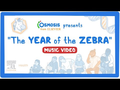 Achalasia Year of the Zebra