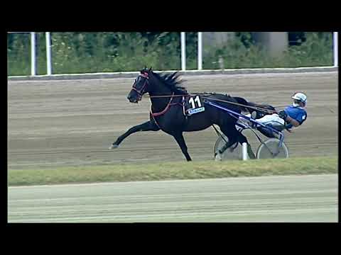 Napoli Trotto 30/05/2021 - 4ª corsa