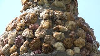 Jasper Geode Grotto - featuring Carrie Newcomer&#39;s song &quot;Geodes&quot;