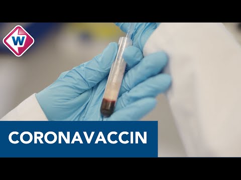 Grote belangstelling voor onderzoek naar Leids kandidaat coronavaccin - OMROEP WEST