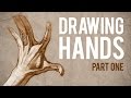 How to Draw HANDS - Muscle Anatomy of the Hand