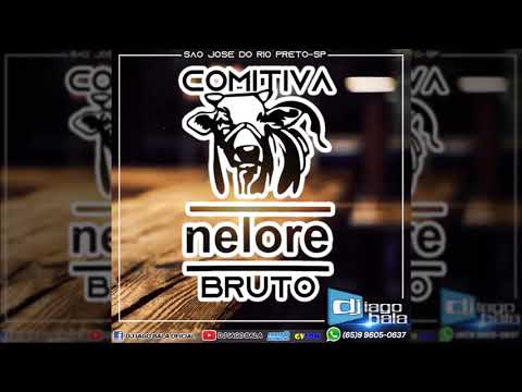 CD COMITIVA NELORE BRUTO DE SÃO JOSÉ DO RIO PRETO-SP - DJ IAGO BALA