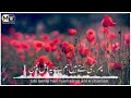 Jab Bhi Ahale Chaman Ko Jarurat Padi Naat Sharif Bahut Khubsurat Awaaz Mein