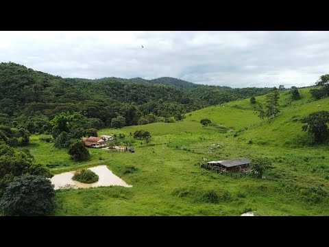 ✨️SÍTIO INCRÍVEL A VENDA POTE-MG COM ESTRUTURA COMPLETA E RIO GRANDE NA DIVISA✨️