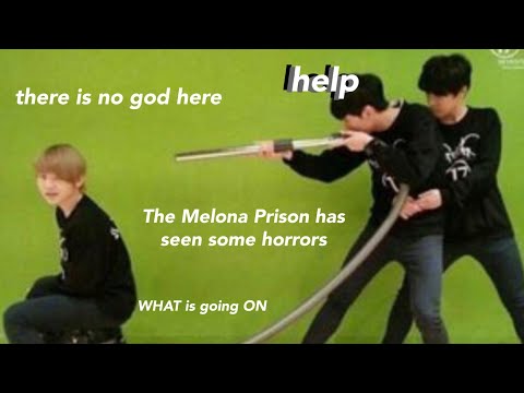 Predebut Seventeen moments that feel like a FEVER DREAM