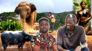 Download lagu THE UNTHINKABLE: Unexpected Encounter, When An Elephant Transforms Into A Lady And Challenges Me! mp3