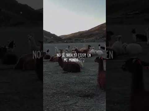 Santa Catalina #jujuyargentina #vida