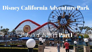 【アメリカ🇺🇸】カリフォルニアディズニー・アナハイム旅行Part1