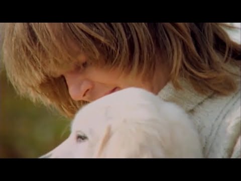 I Den Stora Sorgens Famn - Ted Gardestad