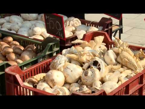 Hírek 2016. szeptember 14.