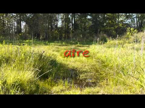 Trailer SUEÑOS ROTOS - Trailer
