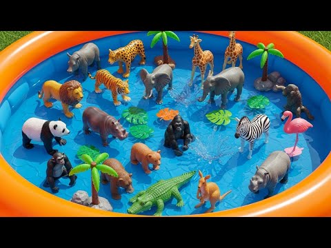 Wild Animals for Kids: Learn 100 Safari Animals with Lions, Bears & Zebras | Toddler Learning Video