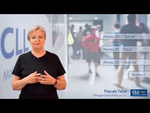 Qu'est-ce que le niveau A1 ? (Langues - CECR)