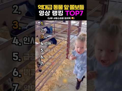 역대급 동물 앞 쫄보들😲