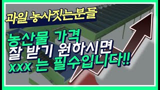 과일 가격 잘 받는 비결 여기있습니다‼️‼️