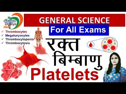 रक्त बिम्बाणु (प्लेटलेट्स) | Platelets by Neha Ma'am |  Thrombocytes | Science Gk Video