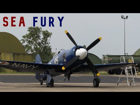 AUSTRALIAN SEA FURY AEROBATICS AND FLY-BYS