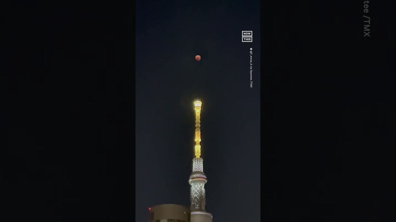 Take a Look at Last Night's Blood Moon During the Total Lunar Eclipse